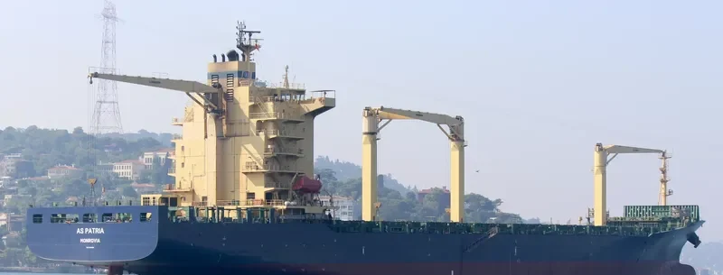 AS PATRIA Container Ship IMO 9294525 photo 8