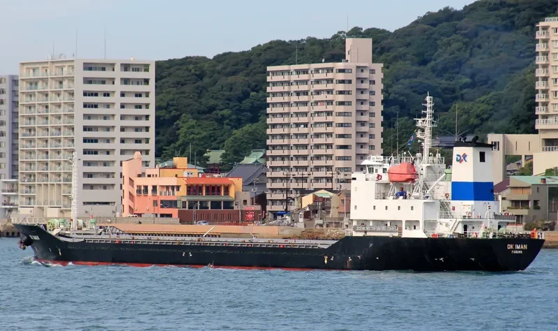 DK IMAN General Cargo IMO 9294769 photo 8