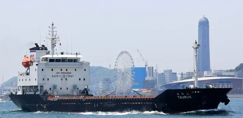TAURUS General Cargo IMO 9294783