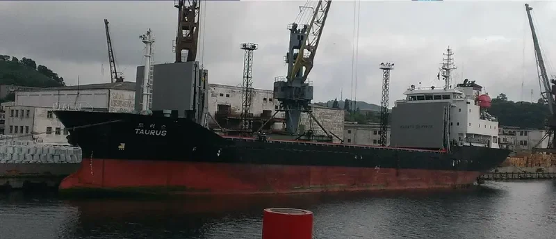 TAURUS General Cargo IMO 9294783 photo 10