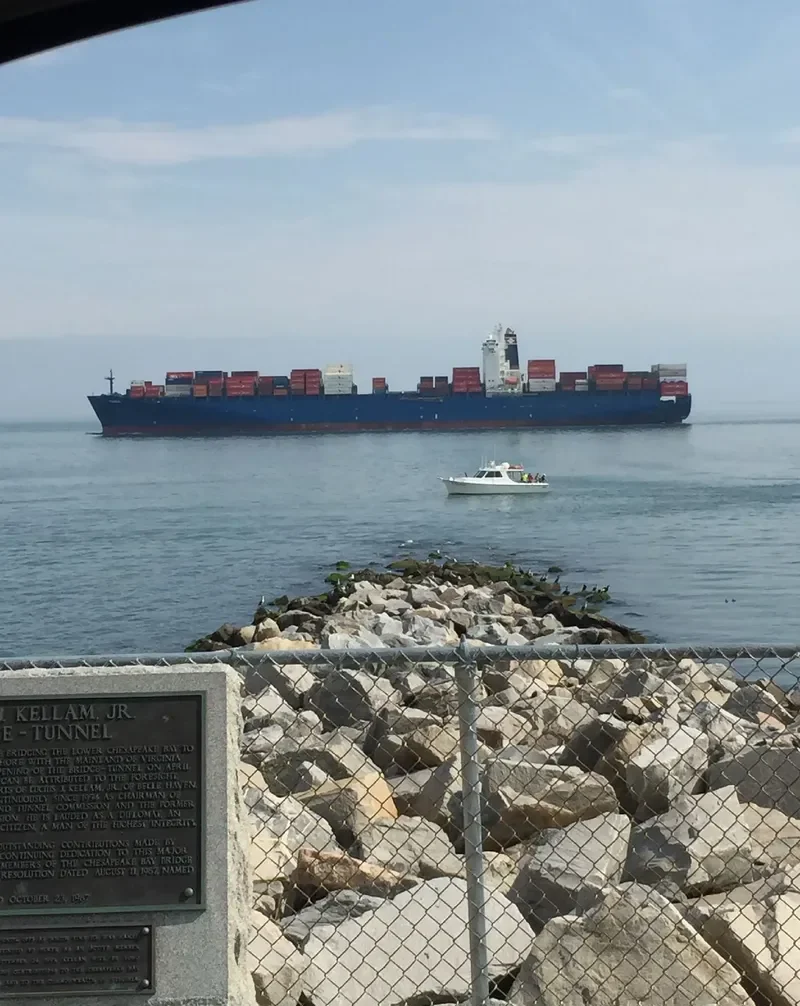 TABEA Container Ship IMO 9294812 photo 5