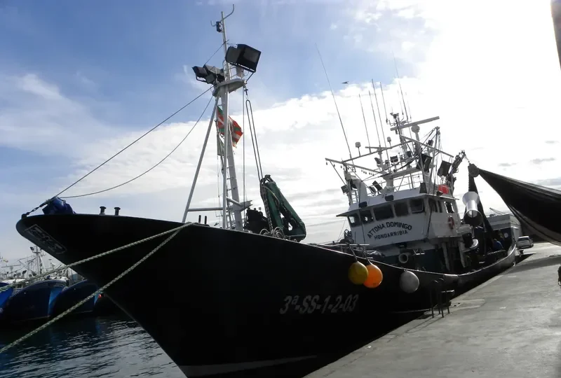 ATTONA DOMINGO General Cargo IMO 9294898 photo 2