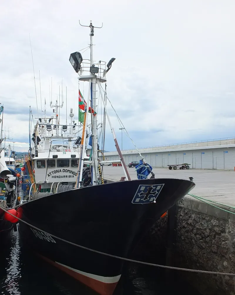 ATTONA DOMINGO General Cargo IMO 9294898 photo 3