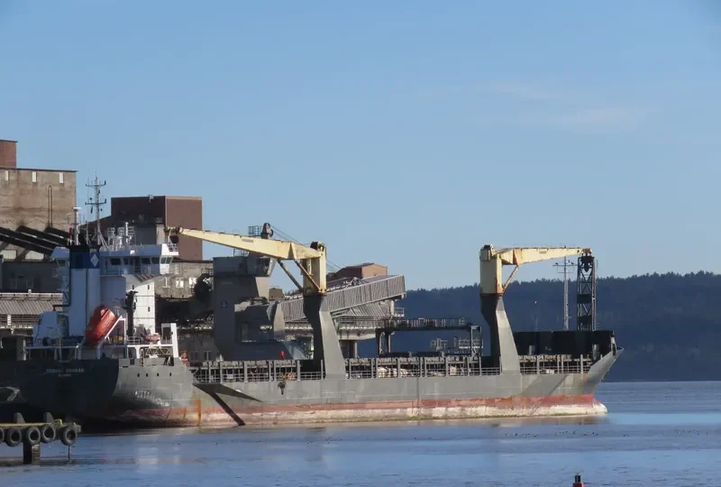 MESSILA General Cargo IMO 9294953 photo 5