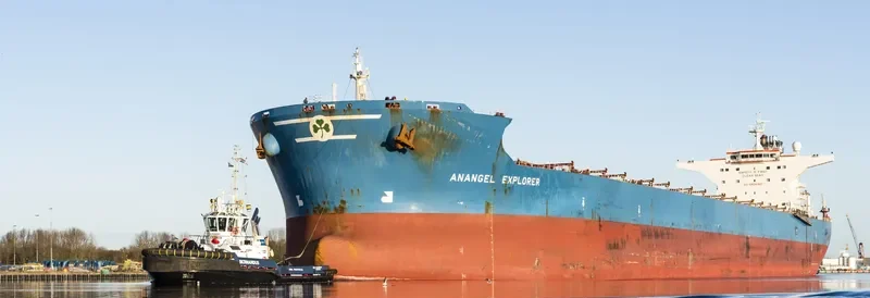 ANANGEL EXPLORER Bulk Carrier IMO 9295012 photo 4