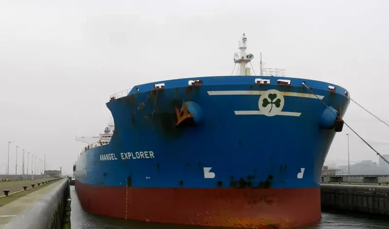 ANANGEL EXPLORER Bulk Carrier IMO 9295012 photo 5