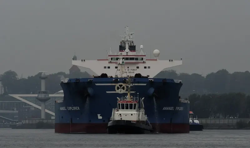 ANANGEL EXPLORER Bulk Carrier IMO 9295012 photo 8