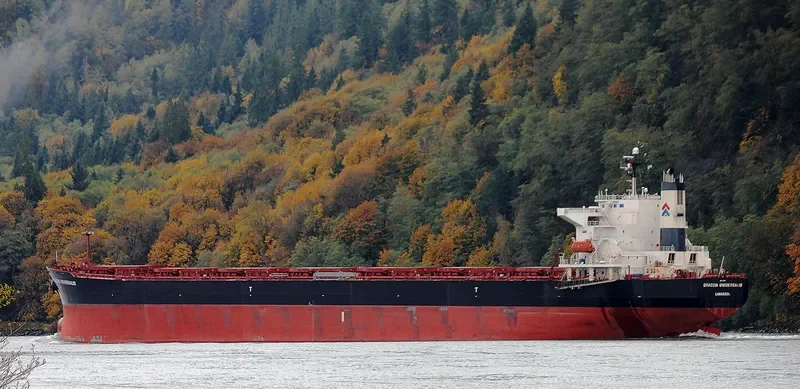 GRAECIA UNIVERSALIS Bulk Carrier IMO 9295127 photo 2