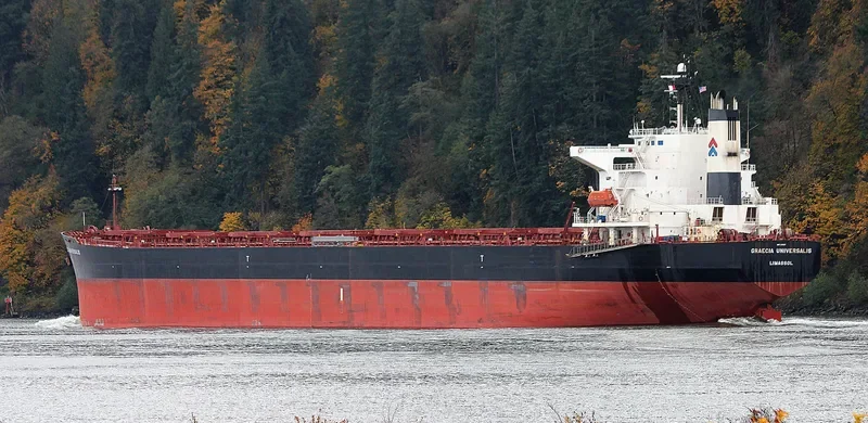 GRAECIA UNIVERSALIS Bulk Carrier IMO 9295127 photo 3