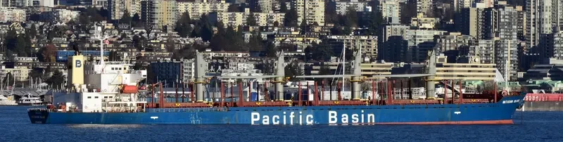 MATAKANA ISLAND Bulk Carrier IMO 9295153
