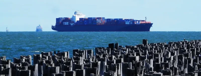 FAN YA TIAN JIN Container Ship IMO 9295359 photo 10