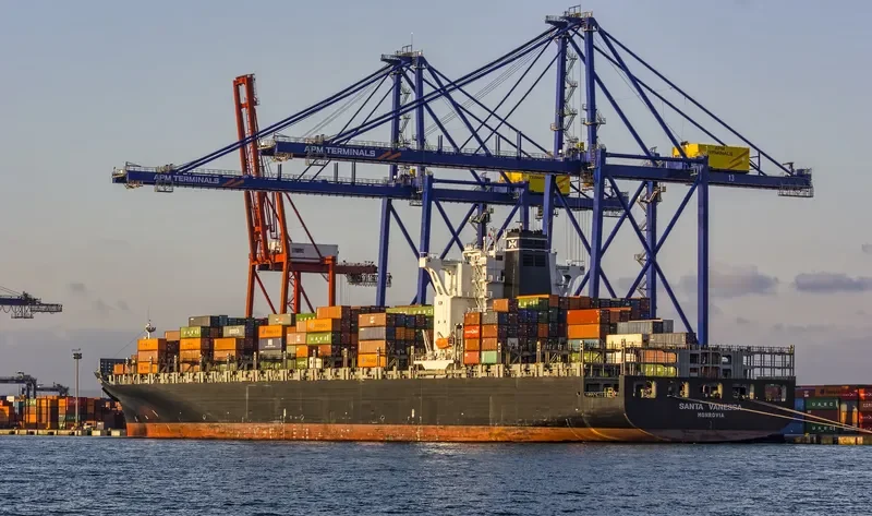 SANTA VANESSA Container Ship IMO 9295361 photo 3