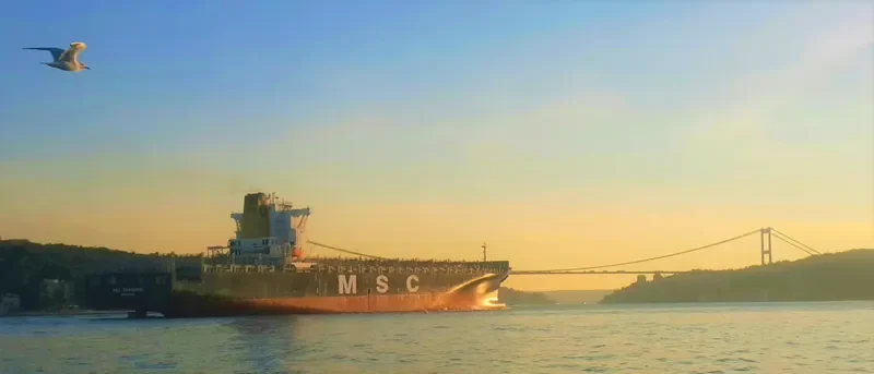 SANTA VIOLA Container Ship IMO 9295373