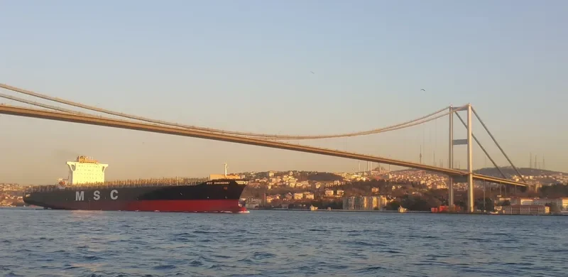 SANTA VIOLA Container Ship IMO 9295373 photo 2