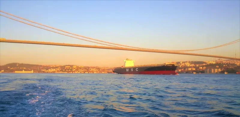 SANTA VIOLA Container Ship IMO 9295373 photo 4