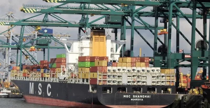 SANTA VIOLA Container Ship IMO 9295373 photo 6