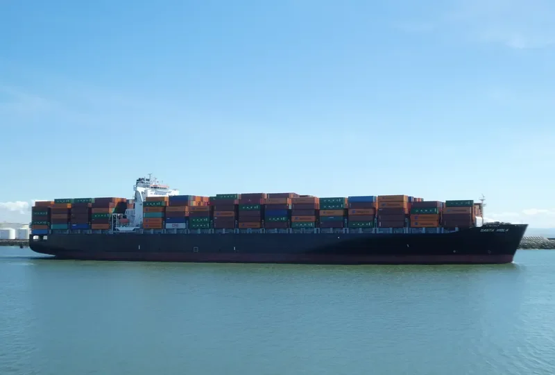 SANTA VIOLA Container Ship IMO 9295373 photo 10
