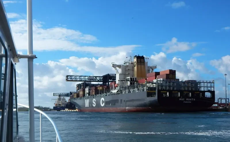 MSC MARTA Container Ship IMO 9295385 photo 2