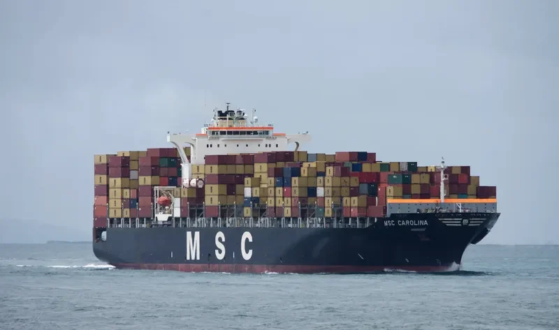 MSC CAROLINA Container Ship IMO 9295397 photo 3