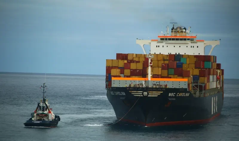 MSC CAROLINA Container Ship IMO 9295397 photo 4