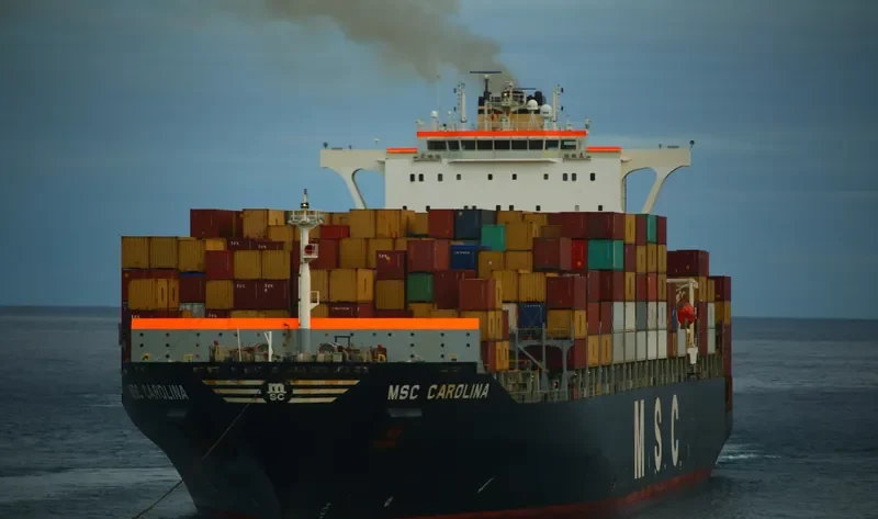 MSC CAROLINA Container Ship IMO 9295397 photo 5