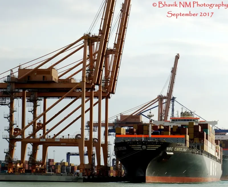 MSC CAROLINA Container Ship IMO 9295397 photo 6