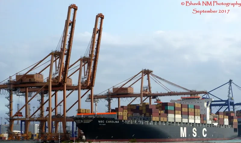 MSC CAROLINA Container Ship IMO 9295397 photo 7
