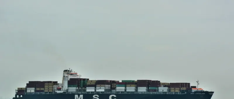 MSC CAROLINA Container Ship IMO 9295397 photo 9