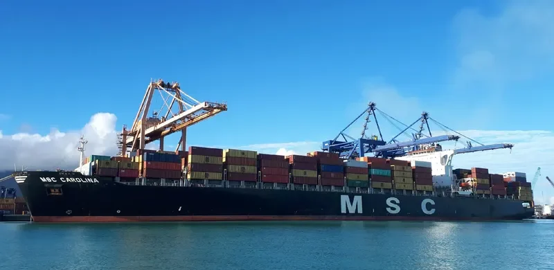 MSC CAROLINA Container Ship IMO 9295397 photo 10