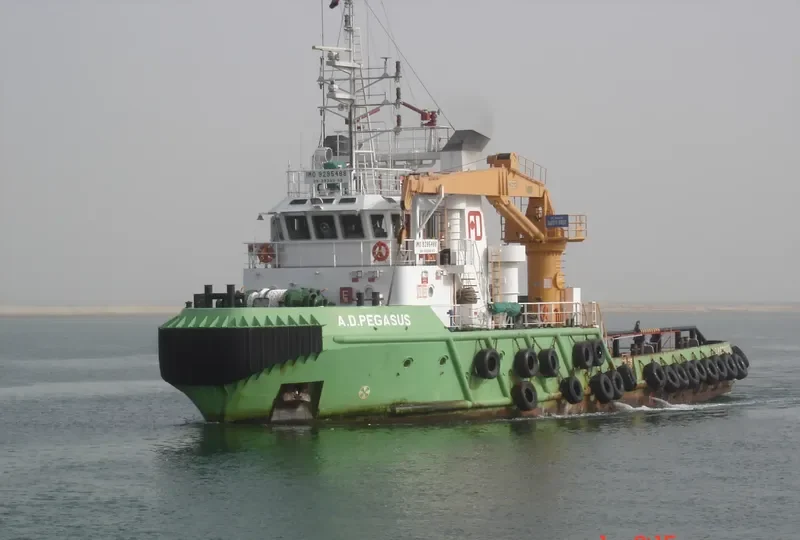 A.D.PEGASUS General Cargo IMO 9295488