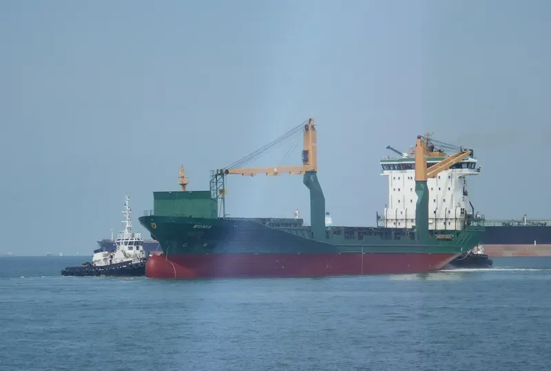 AVILA Container Ship IMO 9295529 photo 2