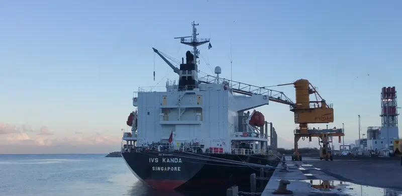 QUEEN JUDI Bulk Carrier IMO 9295567