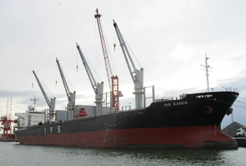 QUEEN JUDI Bulk Carrier IMO 9295567 photo 5
