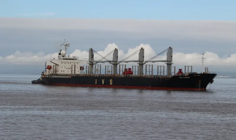 QUEEN JUDI Bulk Carrier IMO 9295567 photo 6