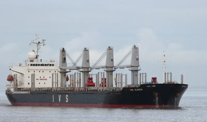 QUEEN JUDI Bulk Carrier IMO 9295567 photo 7