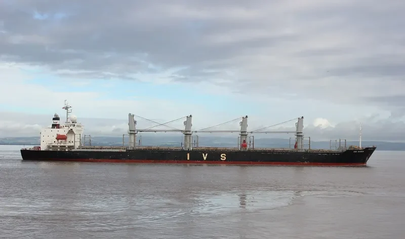 QUEEN JUDI Bulk Carrier IMO 9295567 photo 8