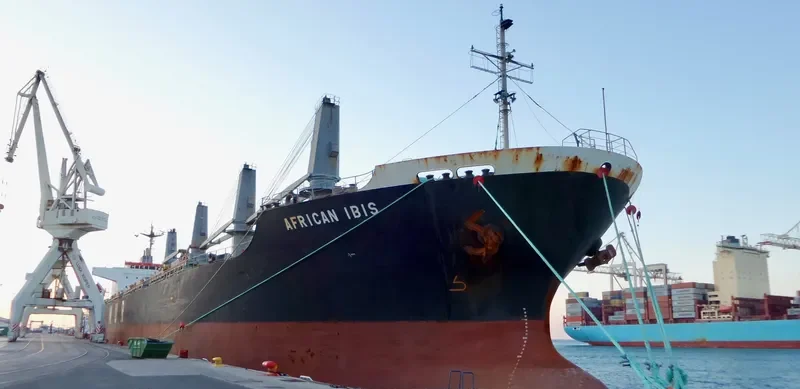 AFRICAN IBIS Bulk Carrier IMO 9295579