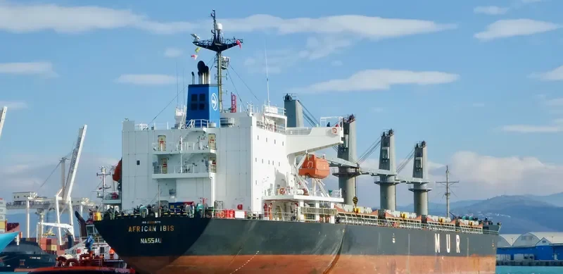AFRICAN IBIS Bulk Carrier IMO 9295579 photo 3