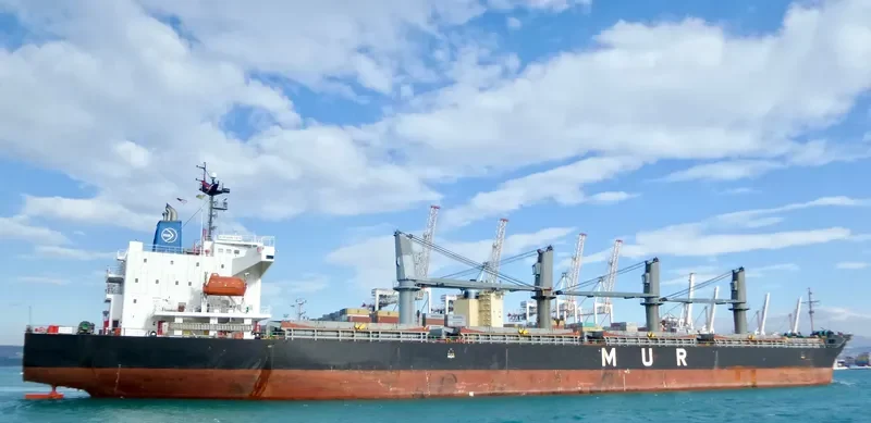 AFRICAN IBIS Bulk Carrier IMO 9295579 photo 4