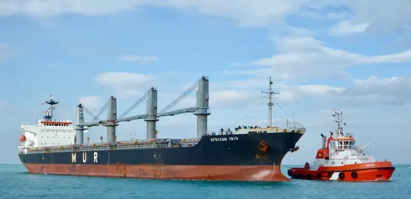 AFRICAN IBIS Bulk Carrier IMO 9295579 photo 5