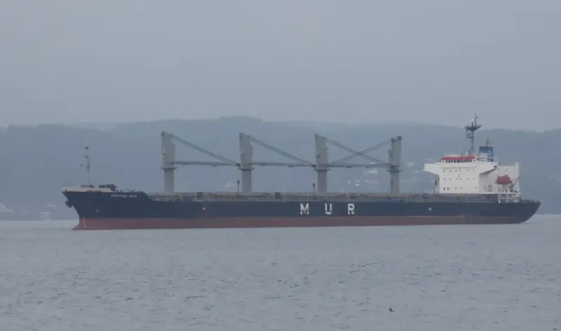 AFRICAN IBIS Bulk Carrier IMO 9295579 photo 6