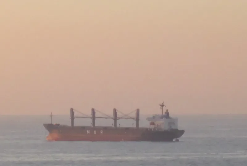AFRICAN IBIS Bulk Carrier IMO 9295579 photo 7