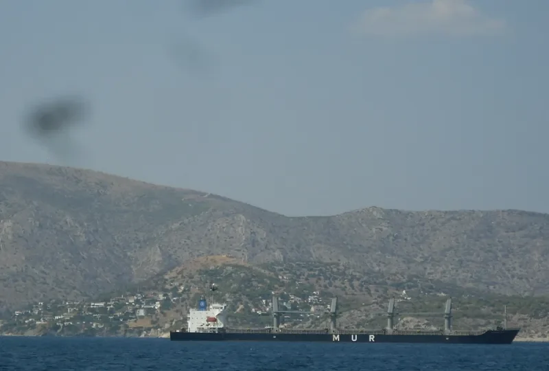 AFRICAN IBIS Bulk Carrier IMO 9295579 photo 8