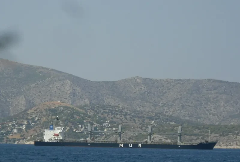 AFRICAN IBIS Bulk Carrier IMO 9295579 photo 9
