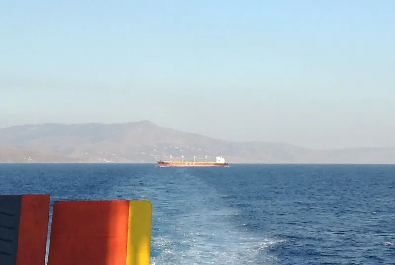 AFRICAN IBIS Bulk Carrier IMO 9295579 photo 10