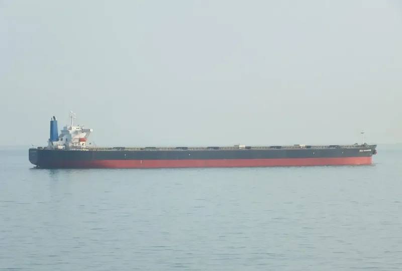AQUADONNA Bulk Carrier IMO 9295608 photo 2