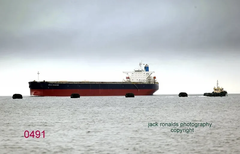 AQUADONNA Bulk Carrier IMO 9295608 photo 3