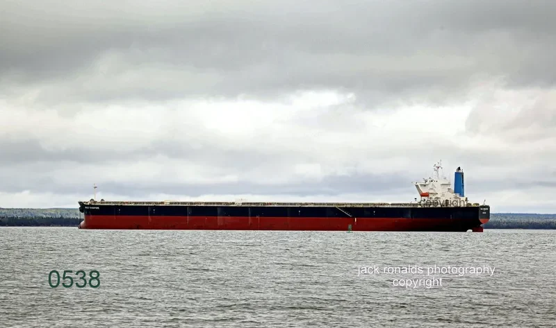 AQUADONNA Bulk Carrier IMO 9295608 photo 4