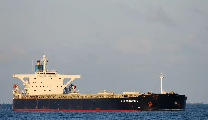 AQUADONNA Bulk Carrier IMO 9295608 photo 7