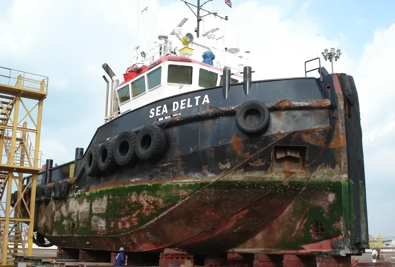 ARAFURA SEA DELTA General Cargo IMO 9295646 photo 6